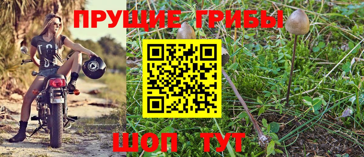 Галлюциногенные грибы мухоморы Белово