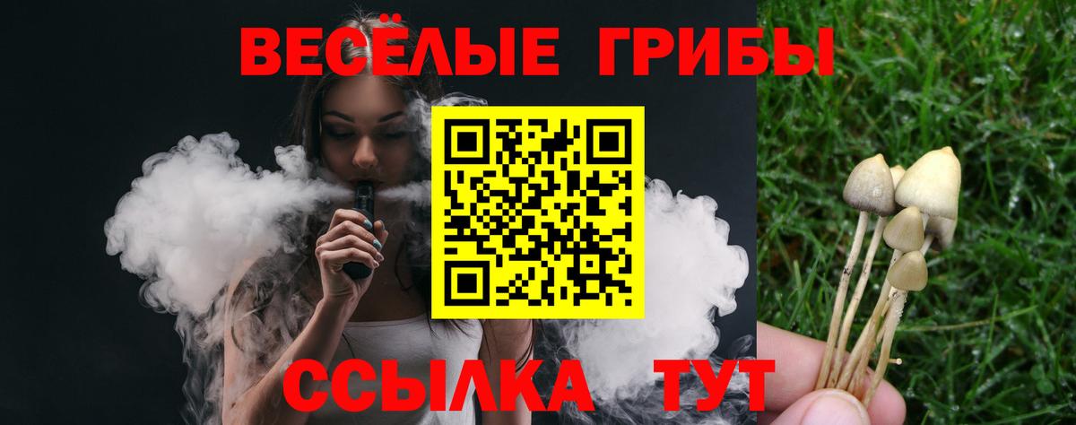 Белово  даркнет сайт  Вход с VPN  Галлюциногенные грибы Cubensis 